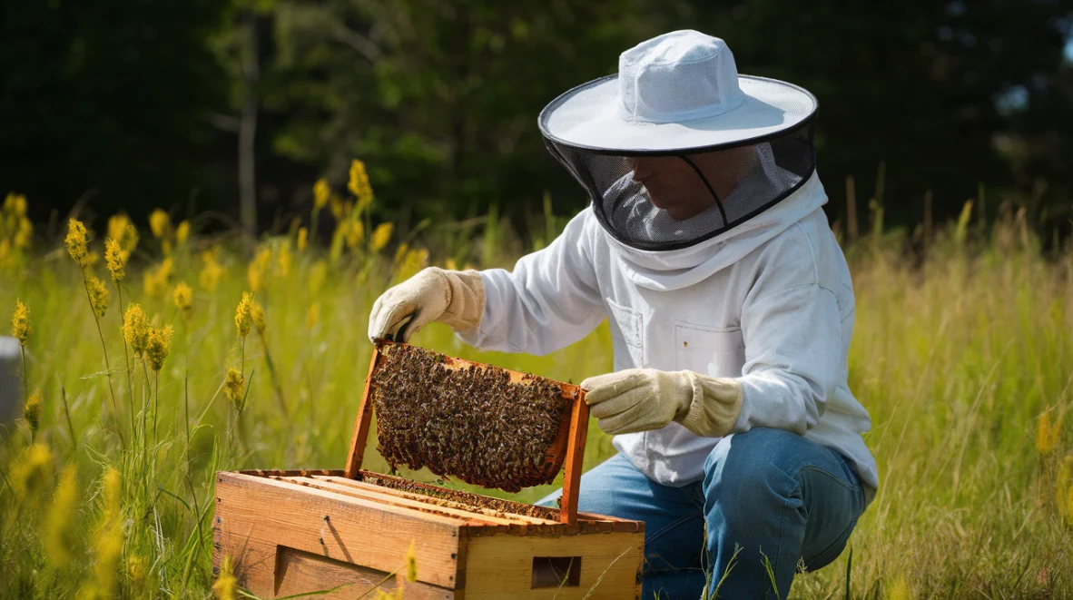 10 Best Honey Bee Farms in Arizona